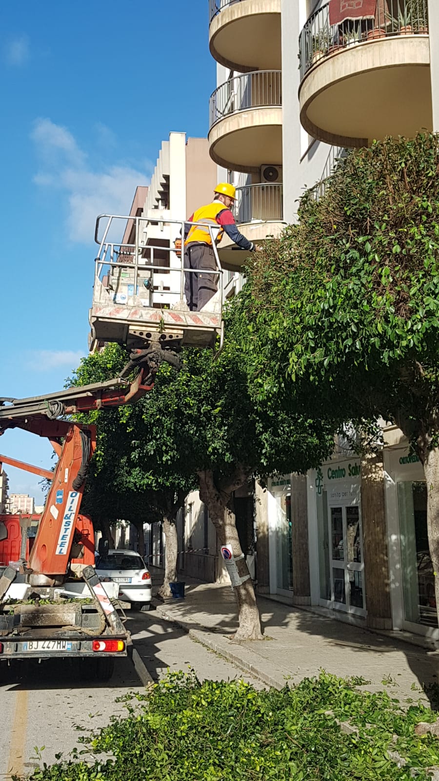 Marsala: si procede alla potatura del verde nel centro urbano