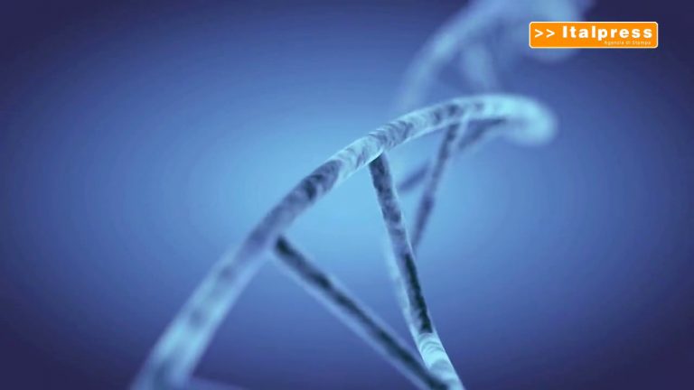 L’editing genomico contro la distrofia miotonica