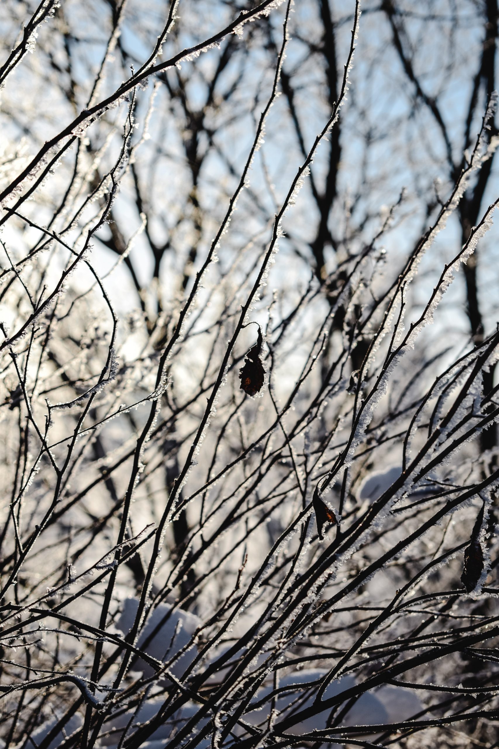 Torna il freddo dalla Russia, al Sud piogge sparse