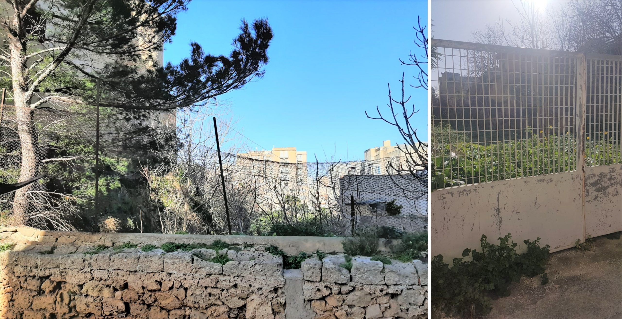 Marsala: al Comune la gestione del fossato punico dell’ex Carcere