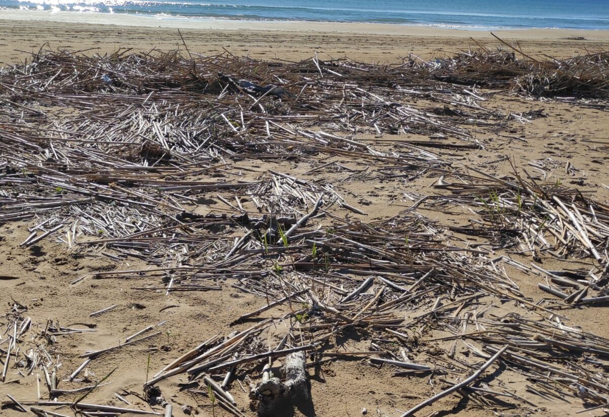 Spiaggia Tre Fontane piena di rifiuti del mare, l’opposizione chiede al Comune di intervenire