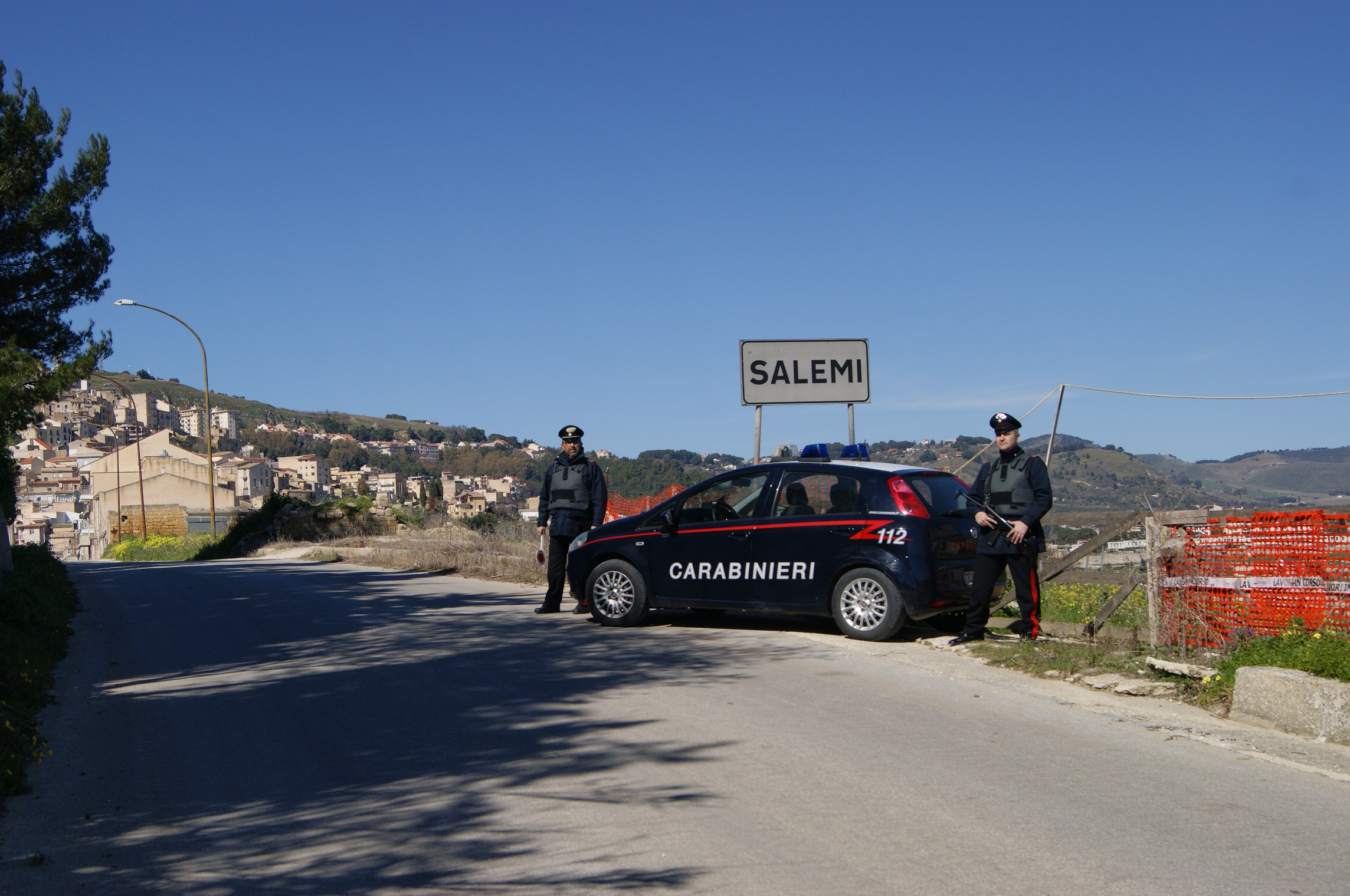 Salemi: i Carabinieri lo sorprendono in un terreno a tagliare legna