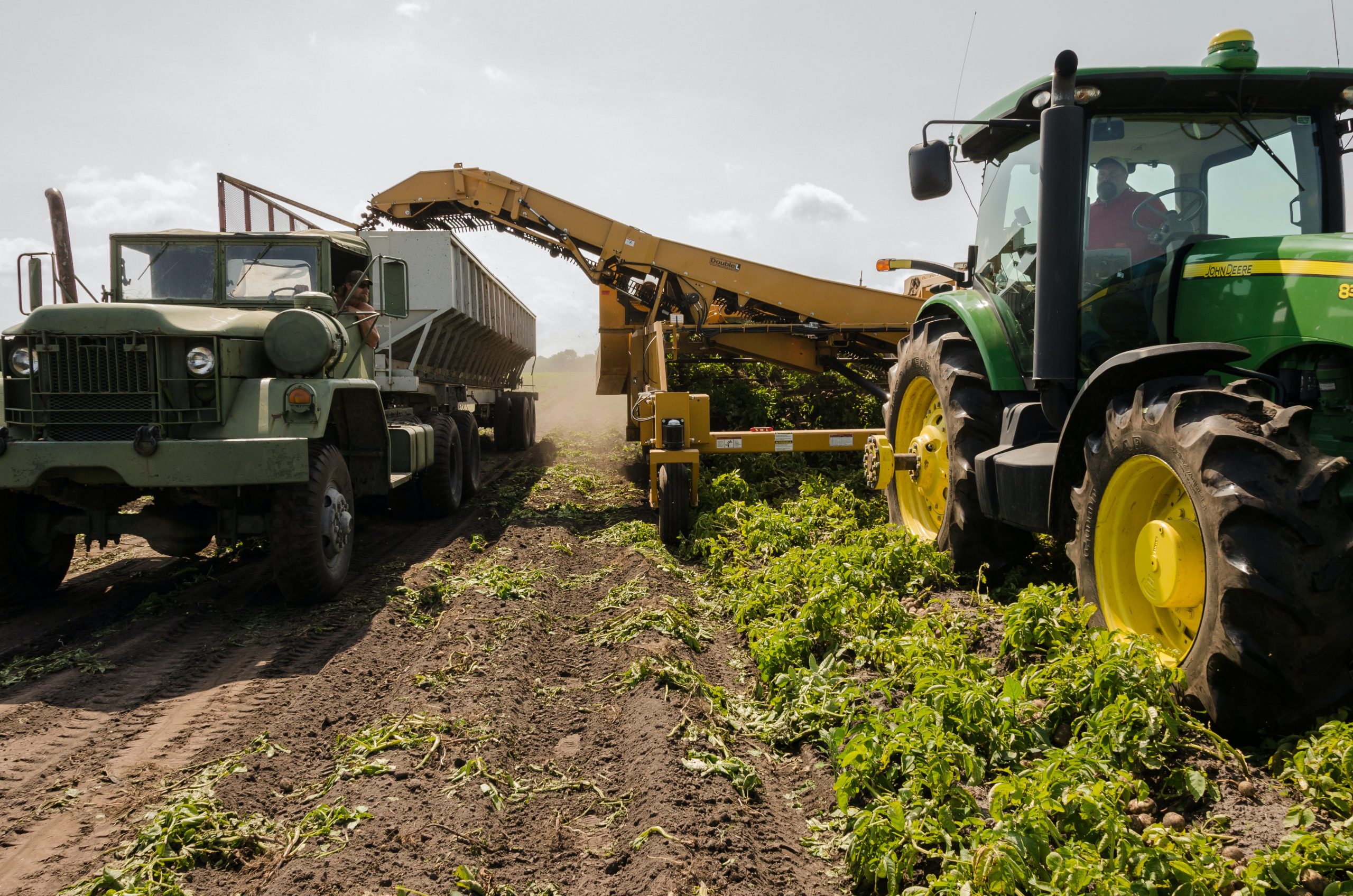 Marsala, si danno appuntamento le sigle sindacali del settore agricoltura