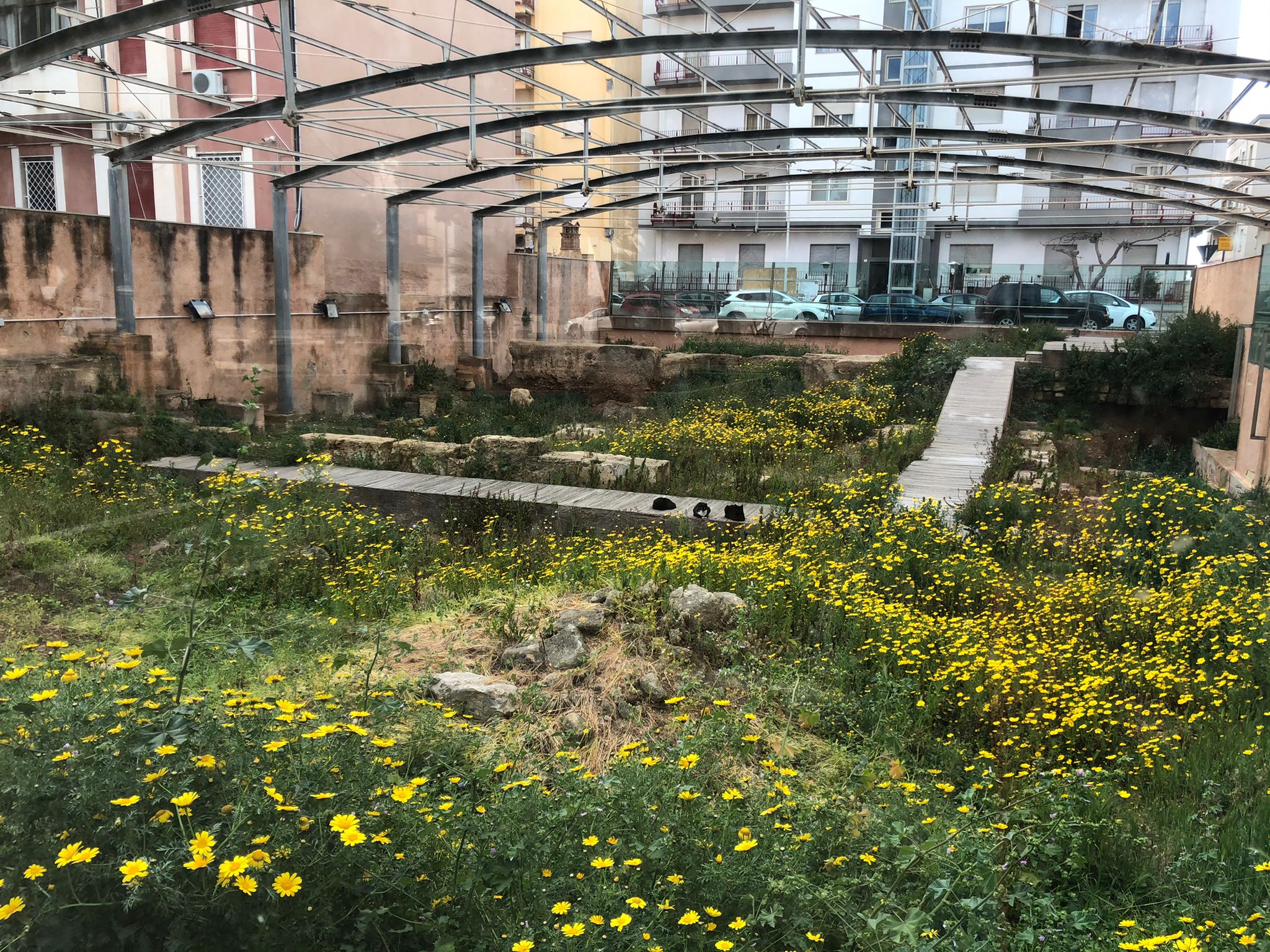 Marsala: erbacce invadono i siti archeologici di via Pomilia e via Berta
