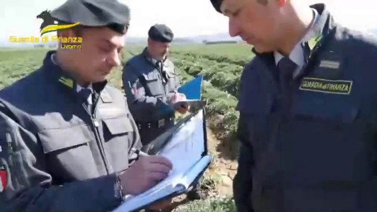 Livorno, scoperti centinaia di lavoratori sfruttati in agricoltura