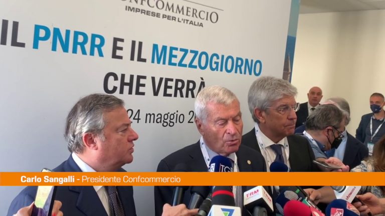 Pnrr, Sangalli “Occasione irripetibile per il Sud”
