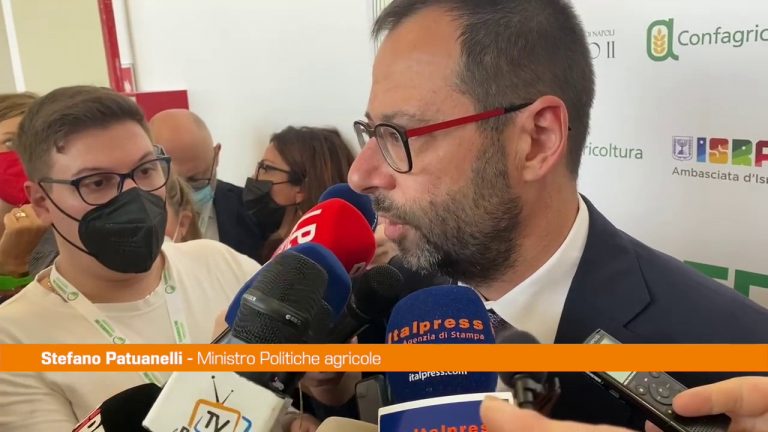 Patuanelli “Sul prezzo del grano fenomeni speculativi”