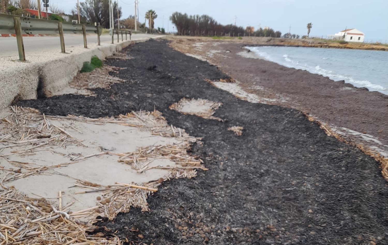 Incendio alla spiaggia di San Teodoro, a fuoco il canneto