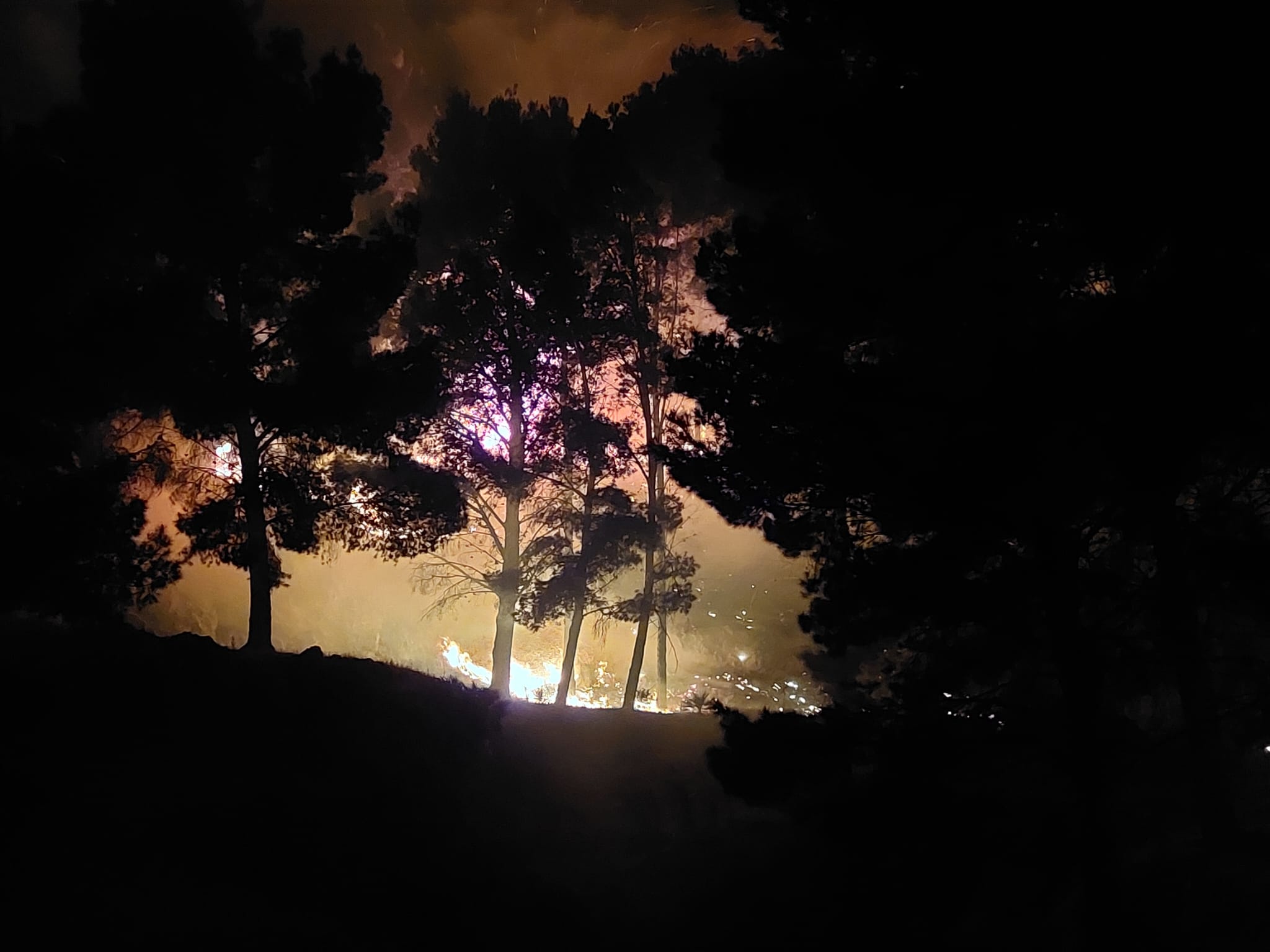 Spente le fiamme ad Erice, i Vigili del Fuoco monitorano la situazione: 72 le unità impiegate