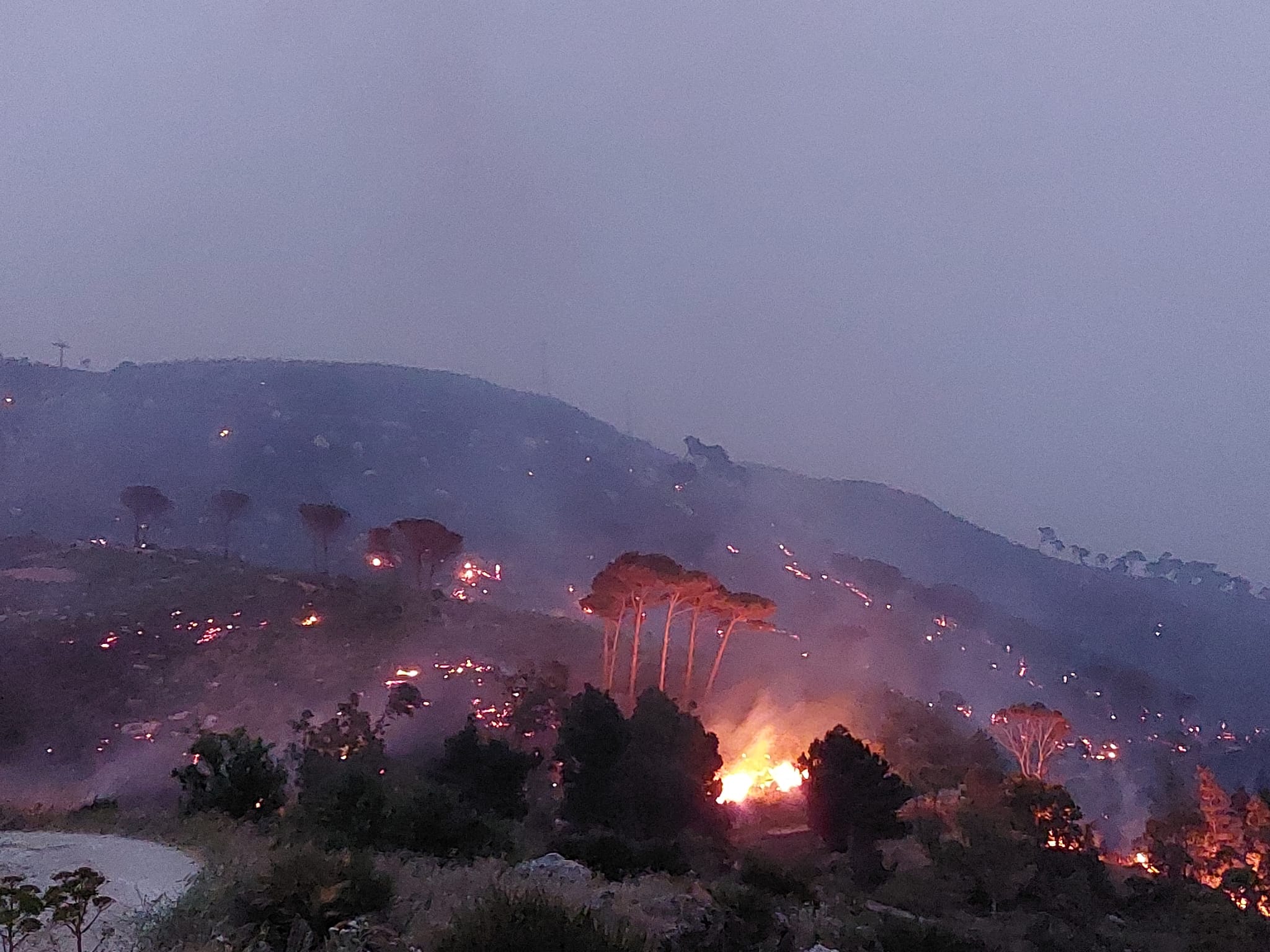 Prevenzione incendi, Musumeci ai sindaci: “I terreni incolti sono un pericolo”