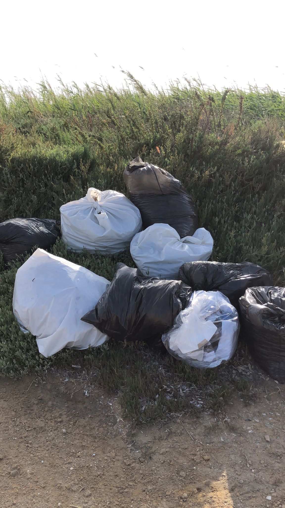 Parco di Salinella: ancora rifiuti invadono il litorale