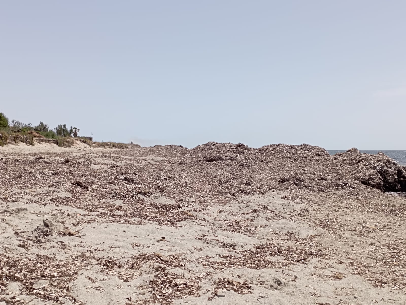 Spiagge pulite in alcune zone e in altre no, accade a Marsala