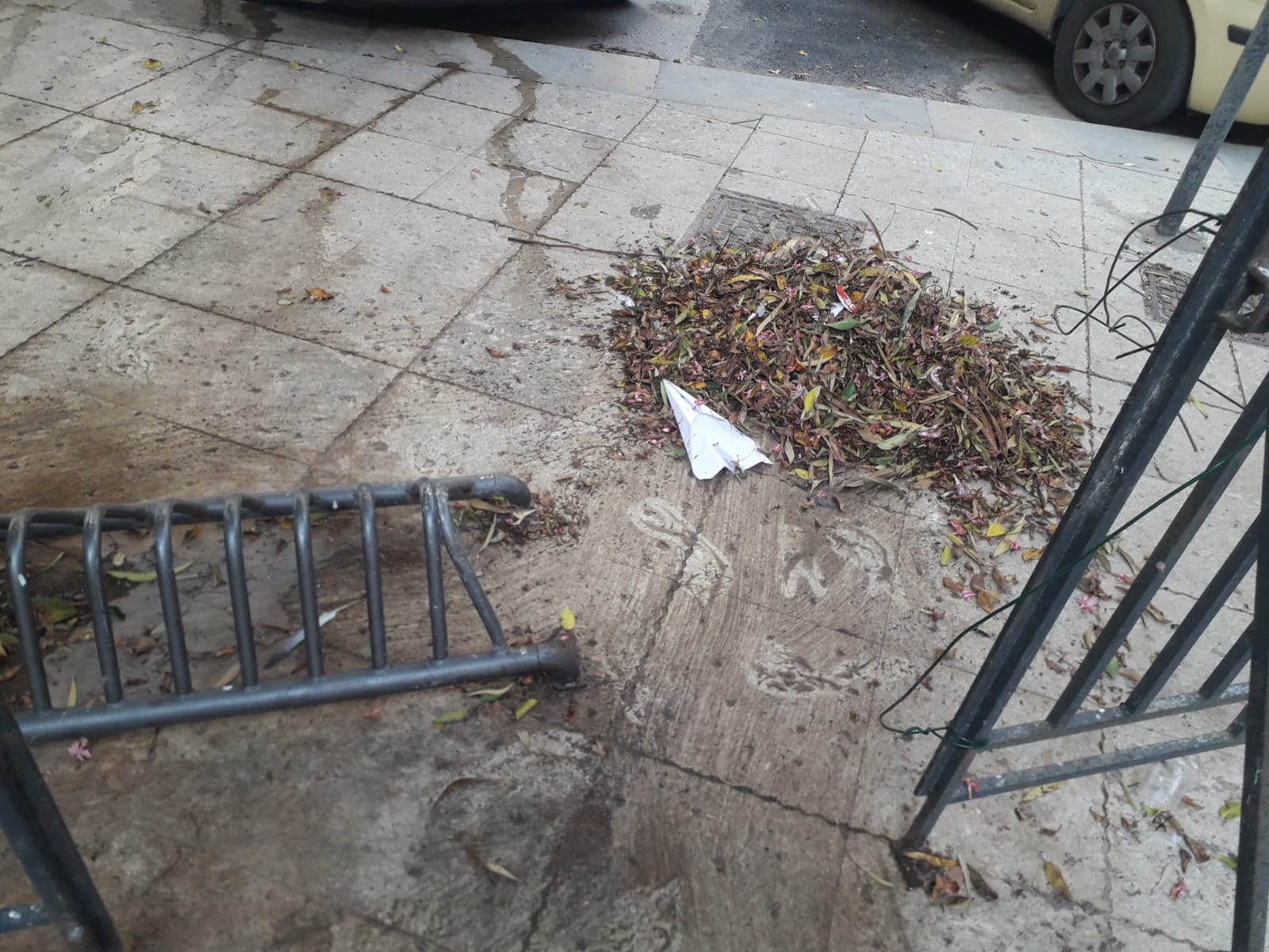 L’Unione Maestranze di Trapani ripulisce l’area vicino la sede di Piazza Scarlatti