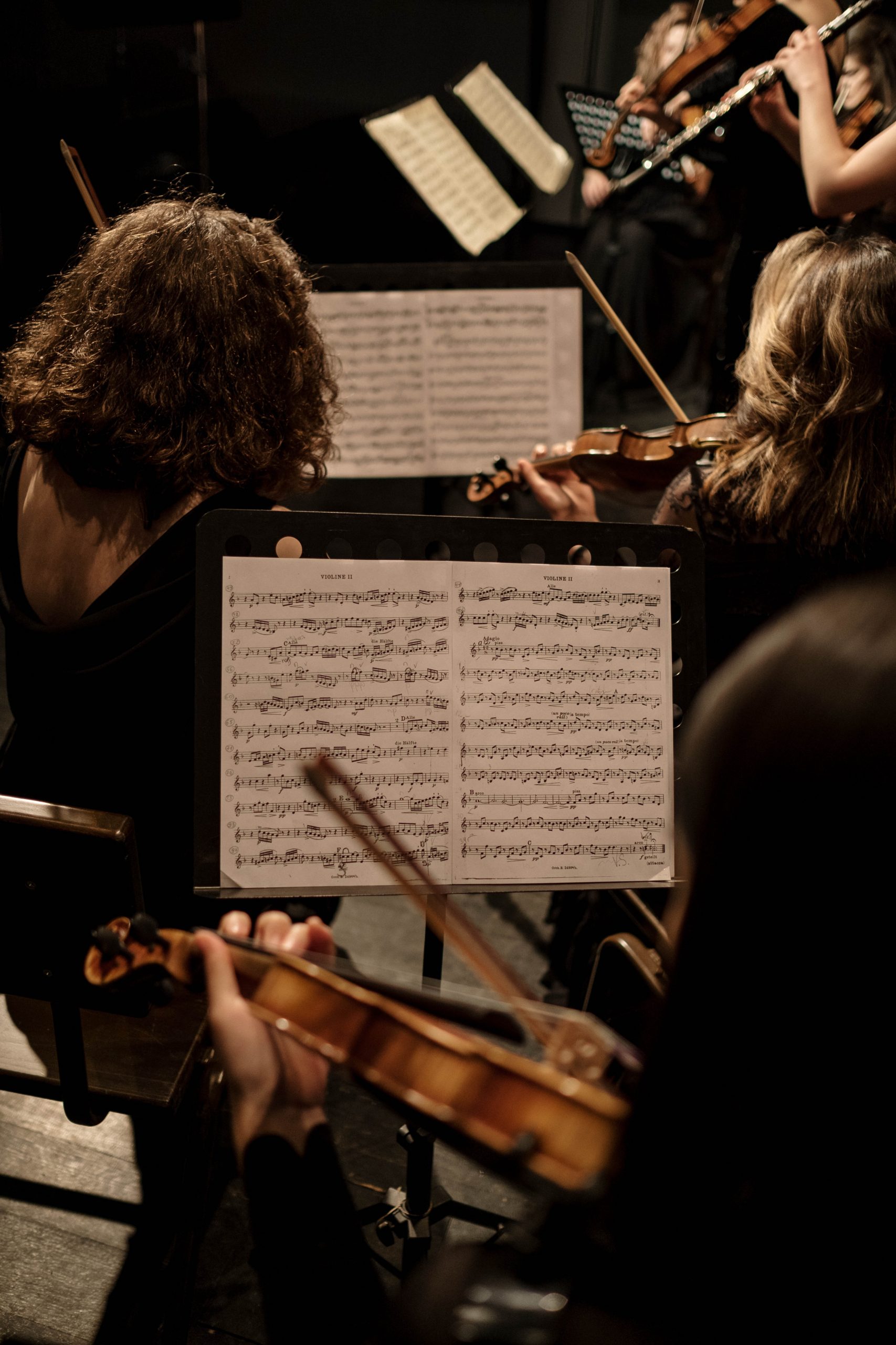Il Luglio Musicale Trapanese ricerca musicisti