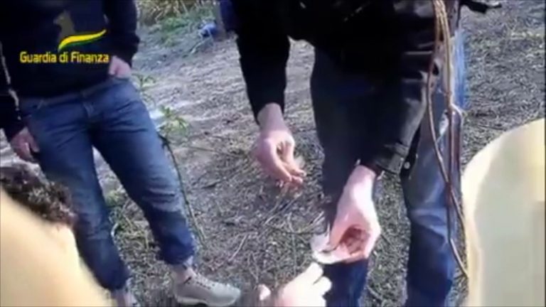 Spaccio droga a Rogoredo, sequestro a Lodi di 450 mila euro