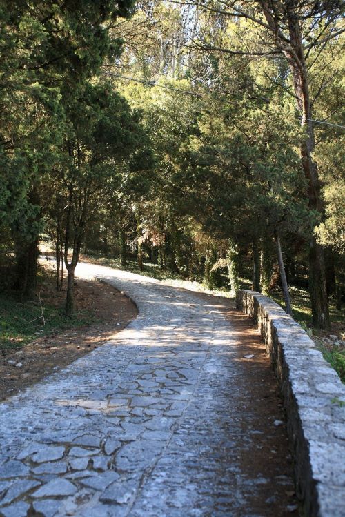 Alcamo: Surdi scrive a Musumeci: “Riserva Monte Bonifato in stato di abbandono”