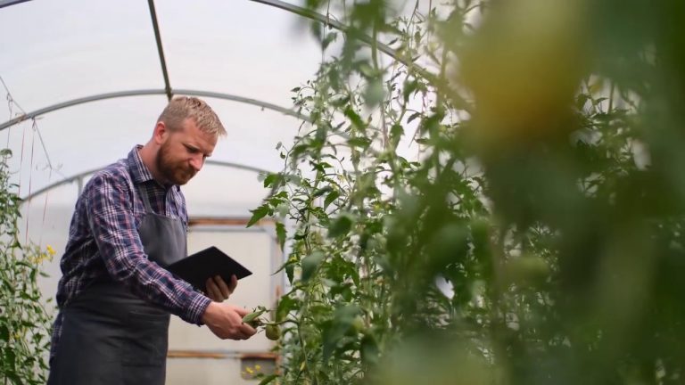 Agroalimentare, export da record nel 2021