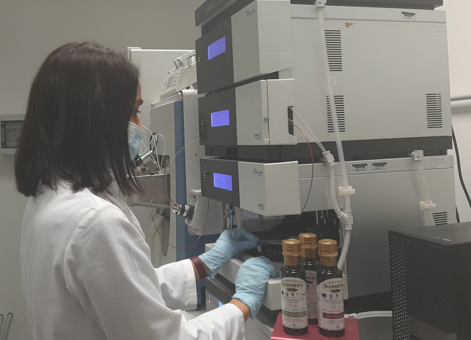 Progetto Trial, in Sicilia a caccia dell’impronta digitale dell’olio extravergine