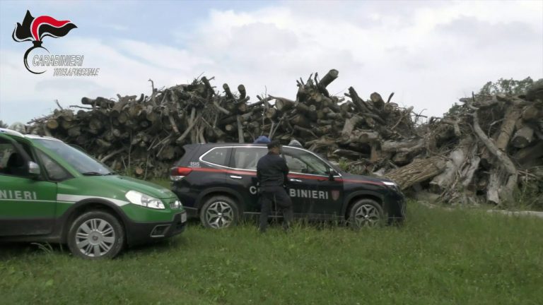 Corruzione, otto arresti nelle Marche