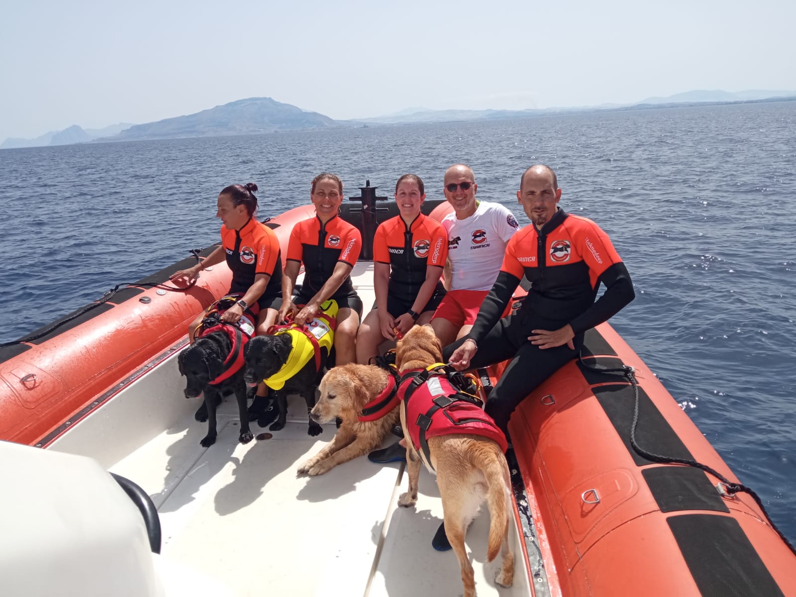 Esercitazione dei cani di salvataggio con la Capitaneria di Trapani
