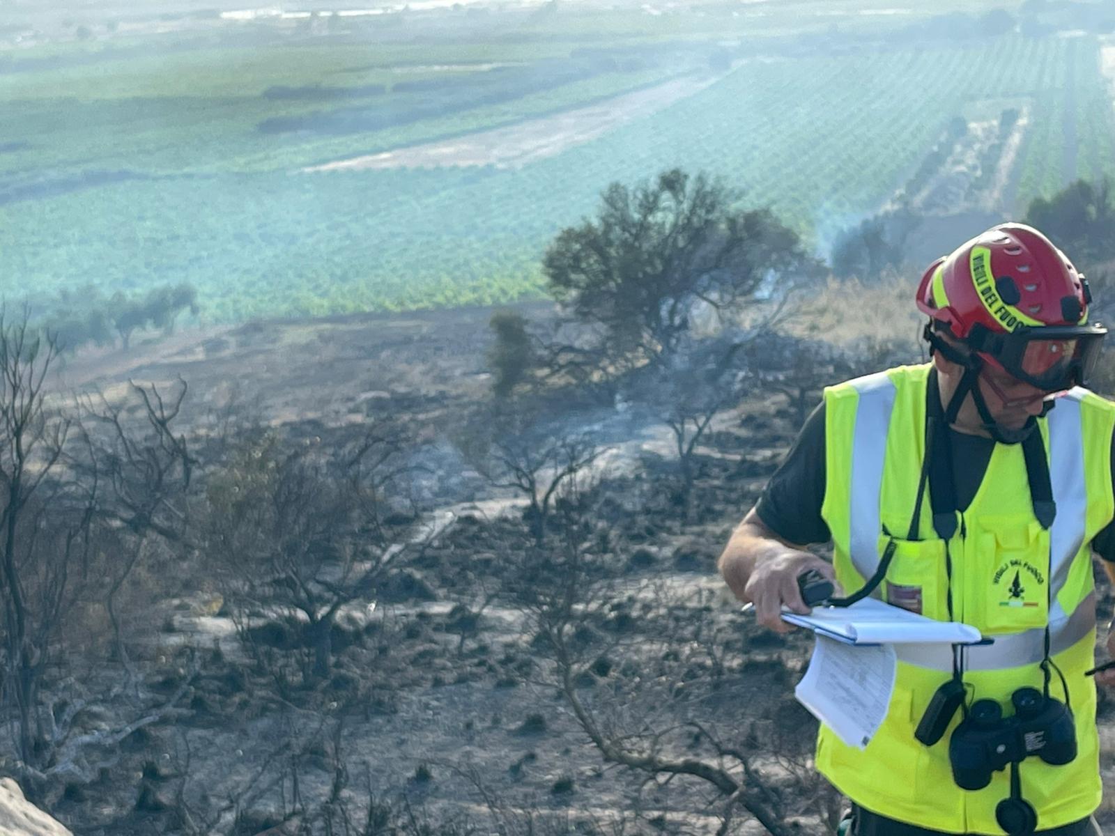 Vasto incendio nella periferia di Marsala, a fuoco 10 ettari di terreno