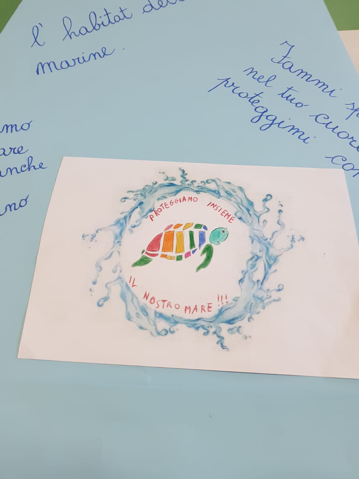 Alla “Nosengo” di Petrosino si conclude il progetto “Spiaggia delle Tartarughe”