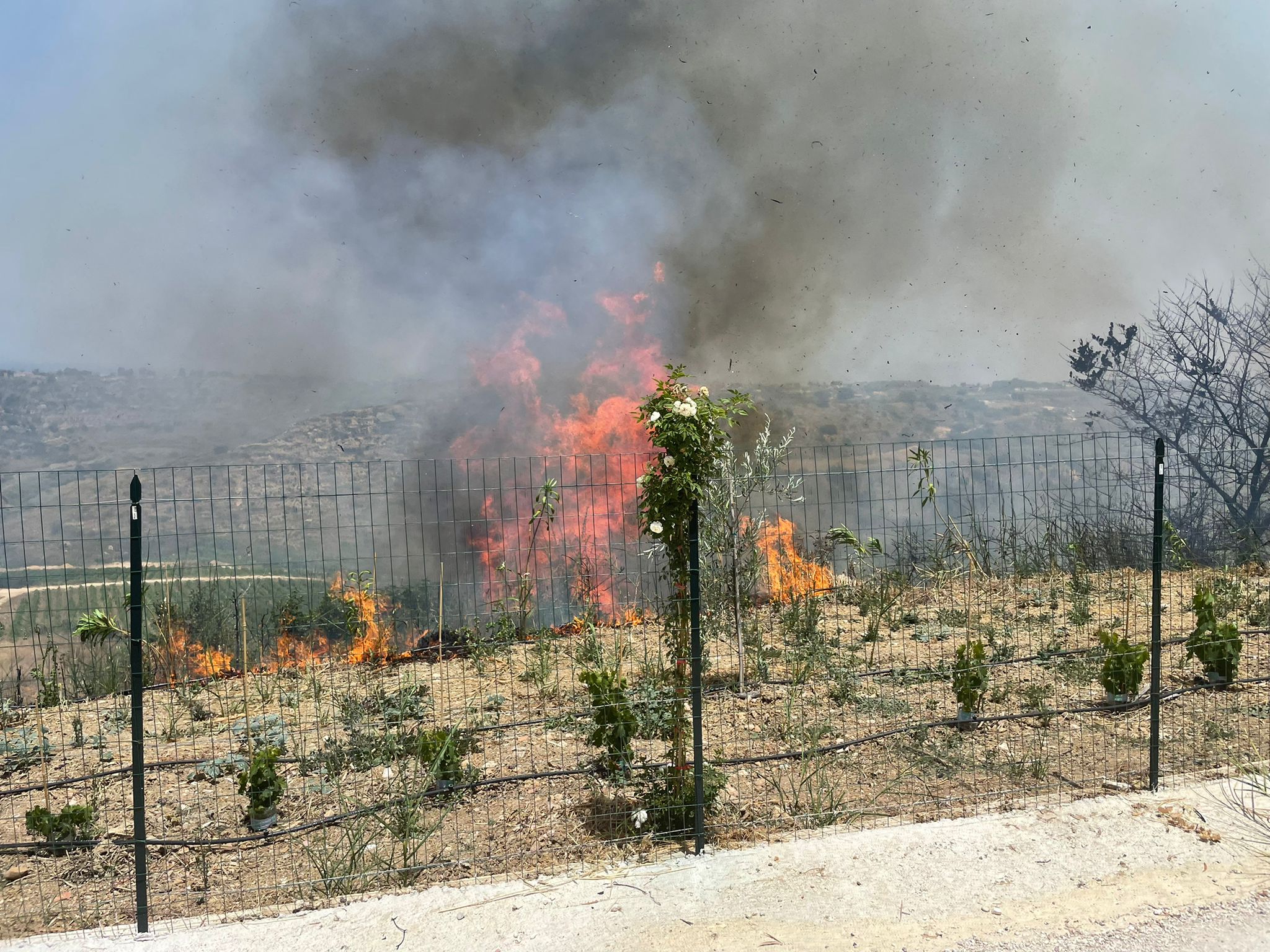 Castellammare, vasto incendio alle pendici del Monte Inici