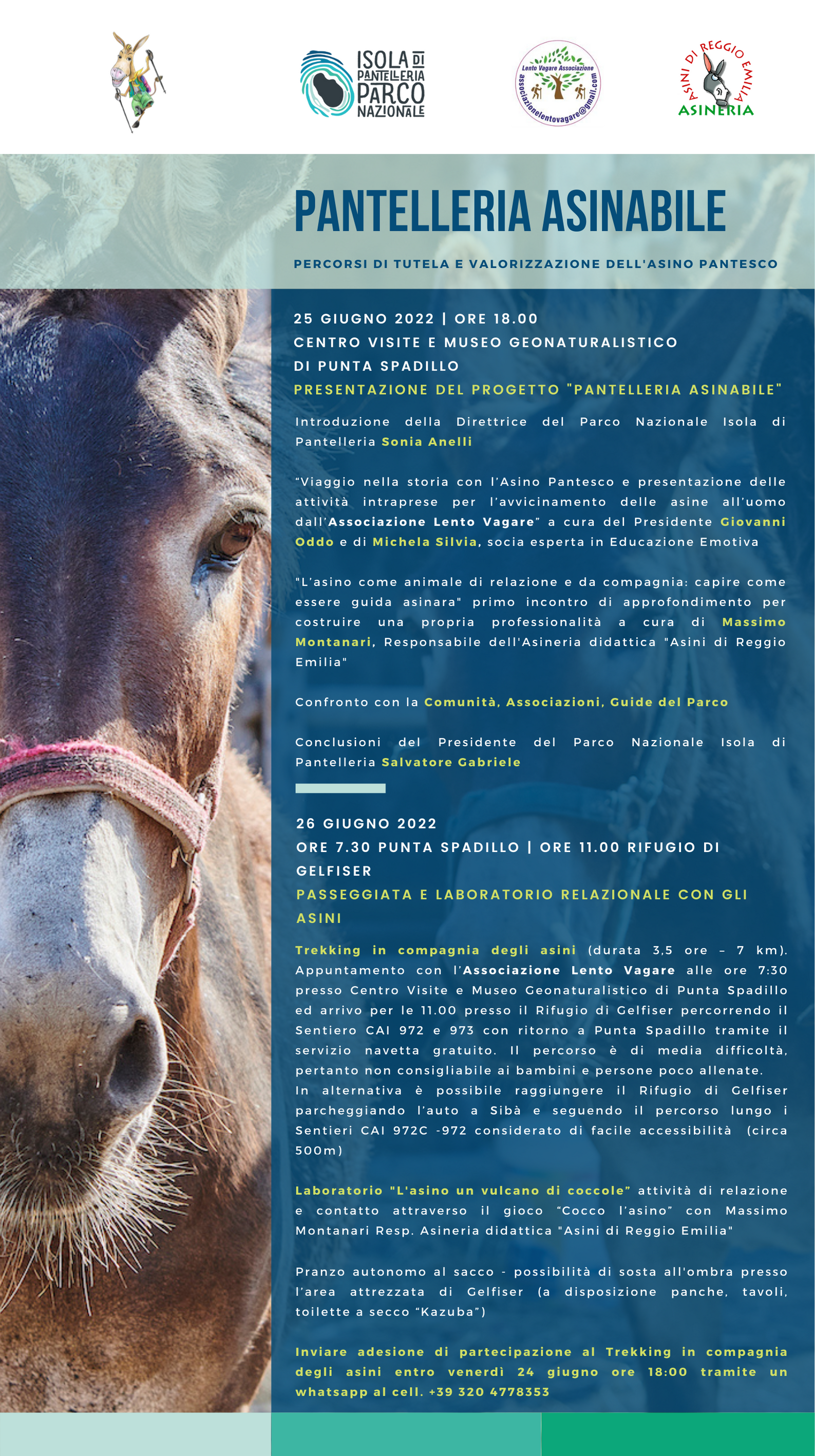 Tutela e valorizzazione dell’Asino Pantesco il 25 e 26 giugno convegni e iniziative