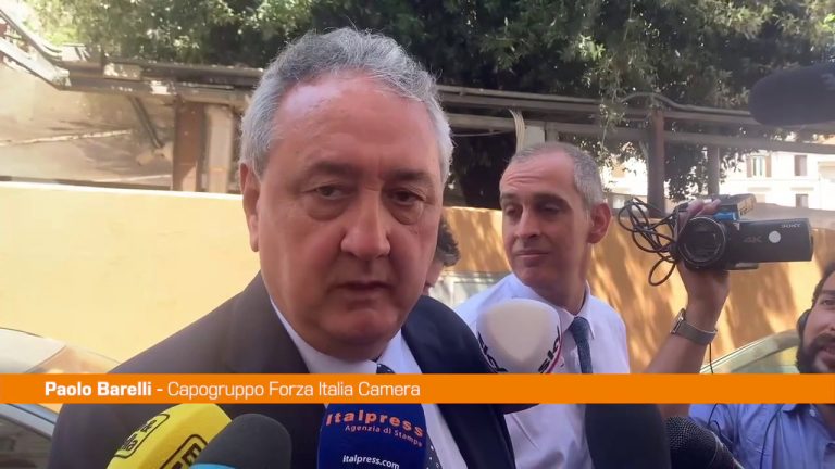 Barelli “Forza Italia ha chiesto Draghi bis con nuovo patto”