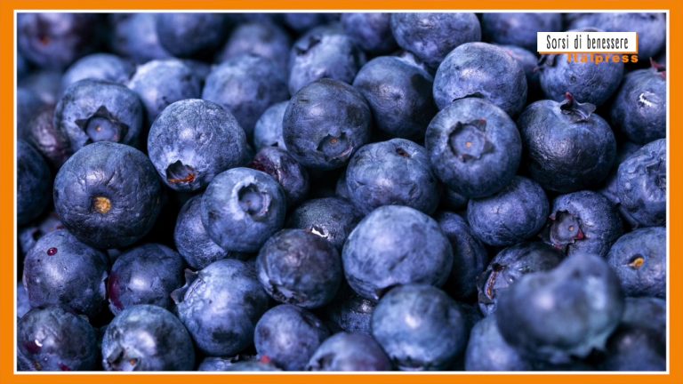 Sorsi di benessere – Una tisana fredda per prevenire le cistiti