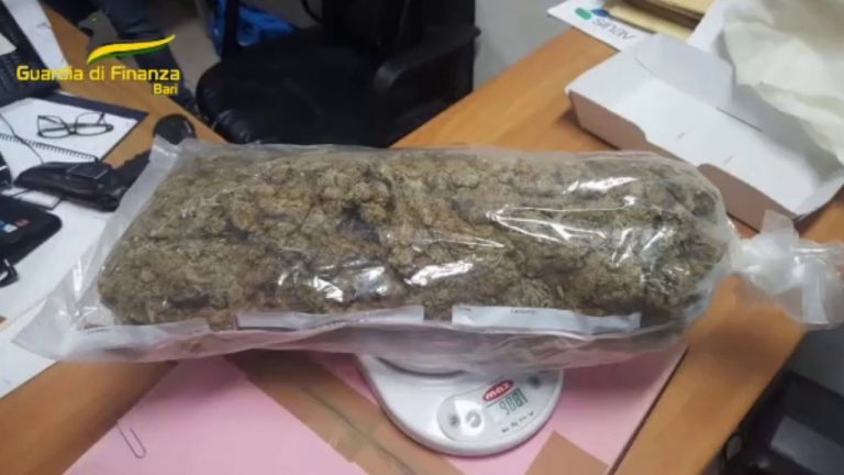 Blitz antidroga, 12 arresti tra Puglia, Sicilia e Basilicata