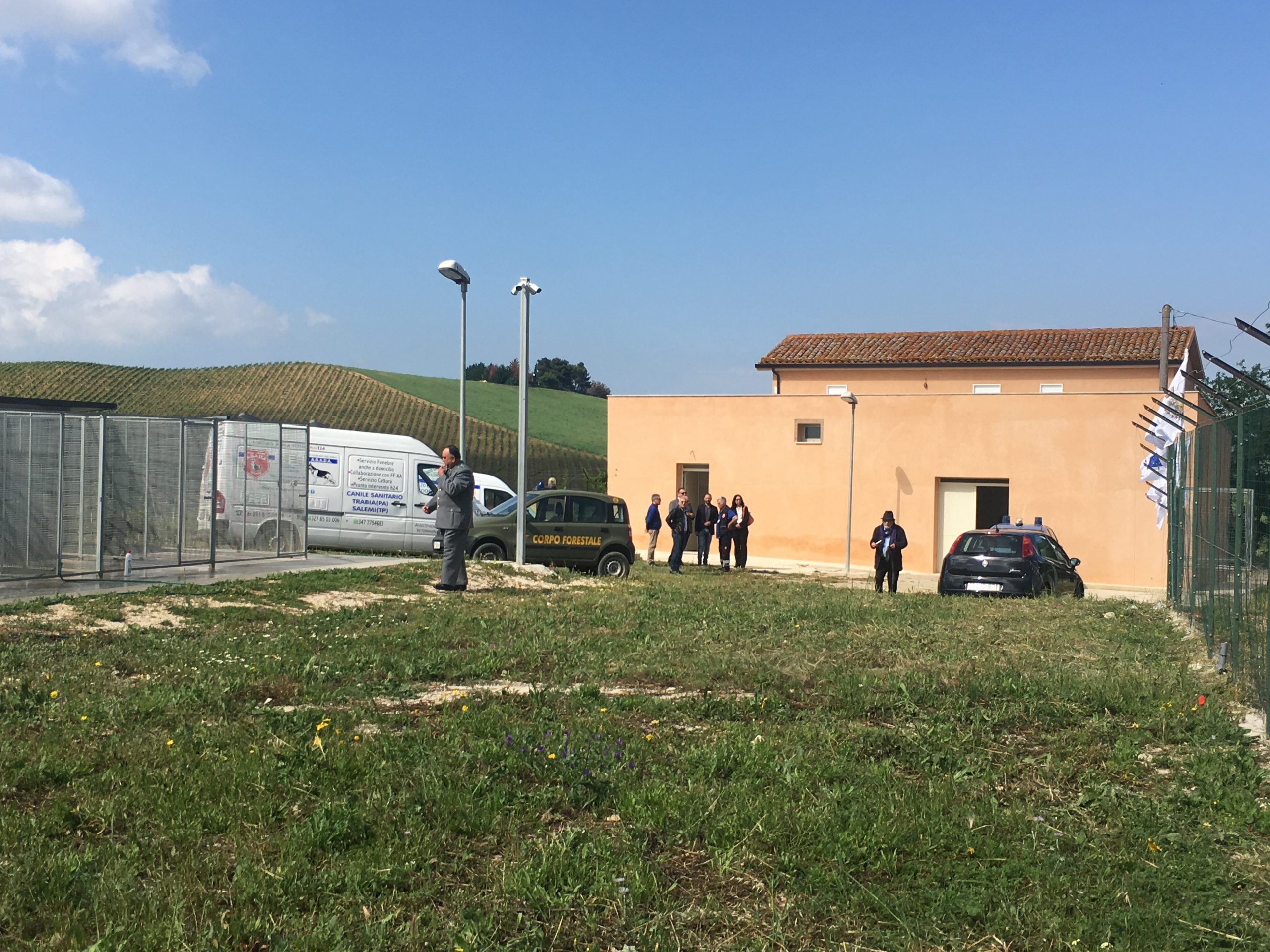 A Salemi sgravi TARi per chi adotta un cane randagio