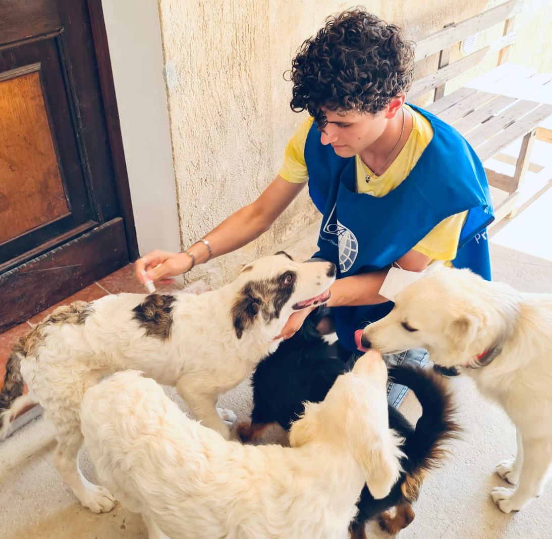 Antiparassitari ai randagi, a Trapani l’iniziativa Oipa “Proteggiamoli”