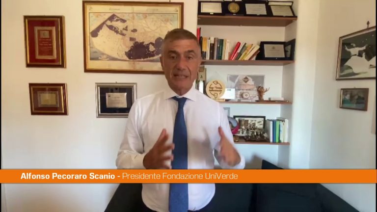 Pecoraro Scanio “Conte premier giusto per la transizione Ecodigital”