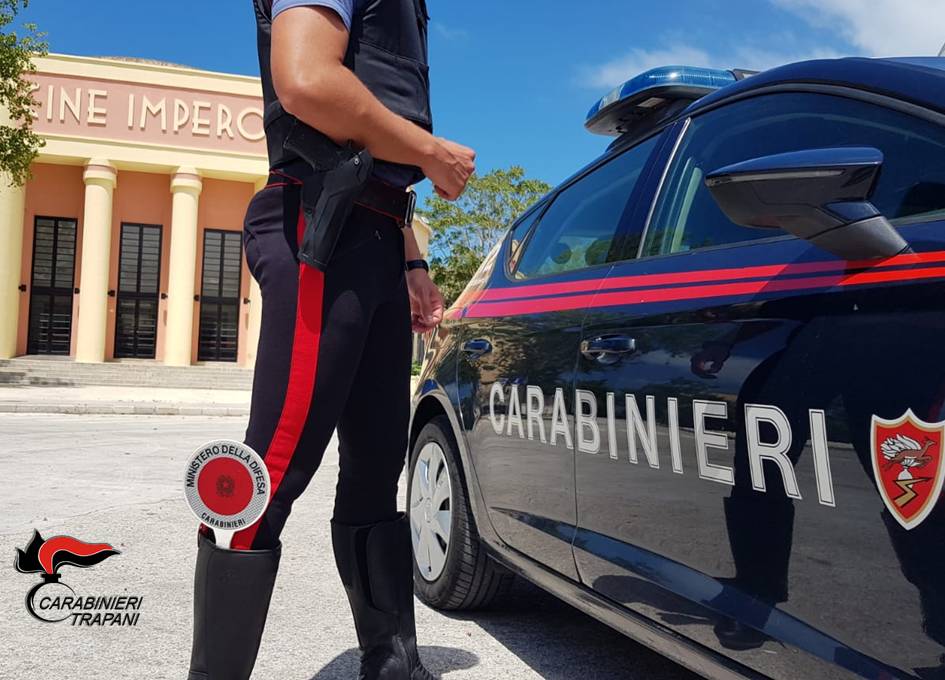 Marsala: rubavano vasi di “Sansevieria”, fermati due ladri