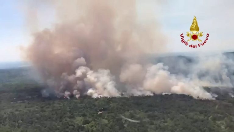 Vasto incendio devasta il Carso