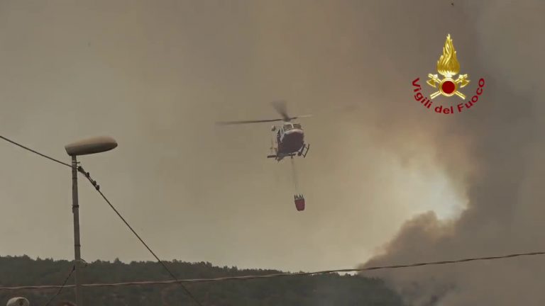 Pompieri, Protezione Civile e Forestale per incendio sul Carso