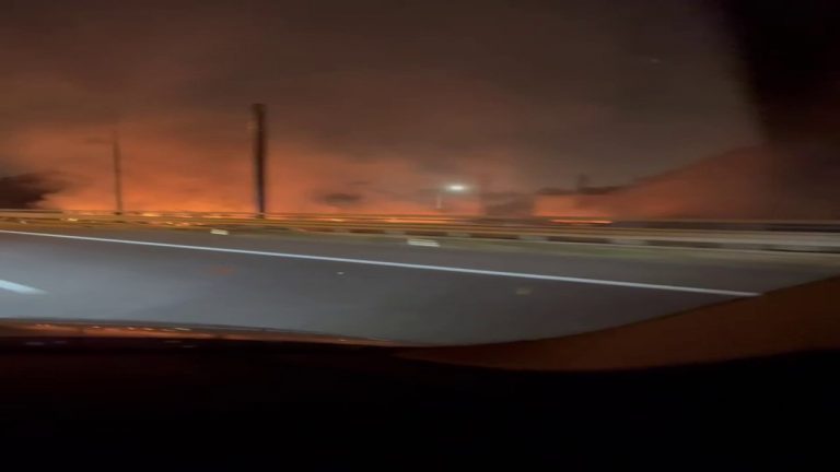 Palermo nella morsa del fuoco, fiamme lungo la circonvallazione