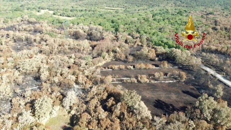 Ricognizione con i droni sul Carso goriziano dopo l’incendio
