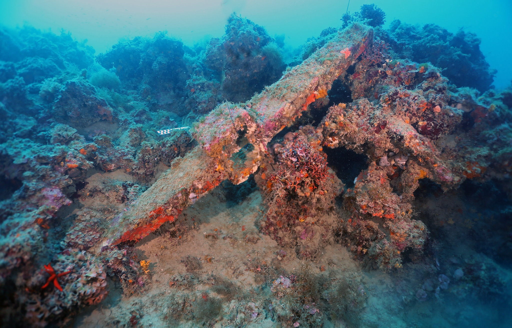 Mazara, rinvenute tre ancore di epoca romana