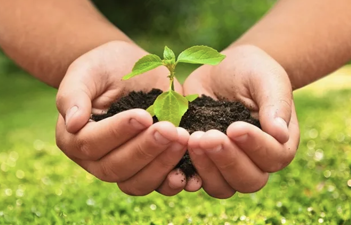 Agroecologia Sicilia: “Che fine ha fatto il decreto attuativo della legge 2021?”