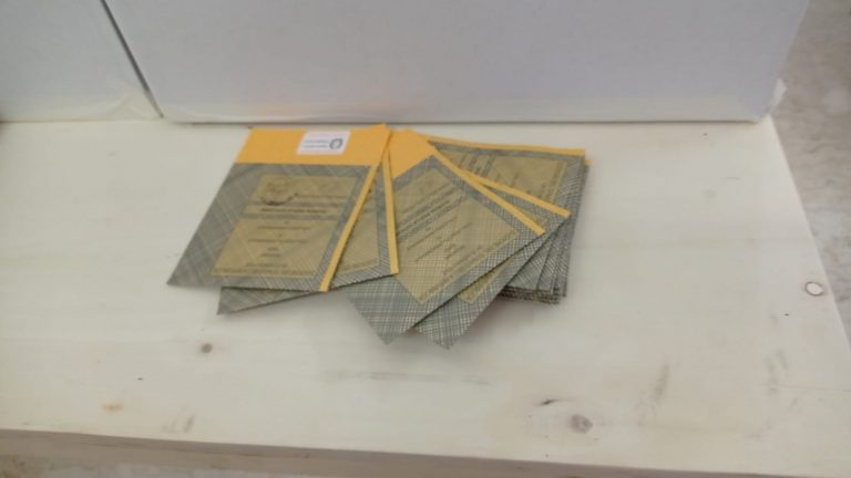 File nei seggi elettorali, la causa (principale) è il tagliando antifrode