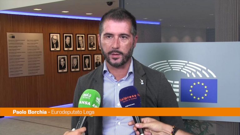 Energia, Borchia “Green Deal va riformato”