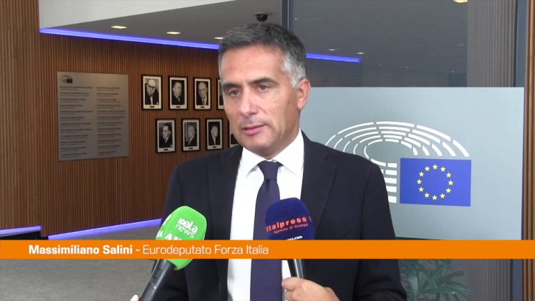Energia, Salini “Mercato Ets deve essere sospeso”