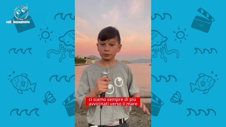 Le tartarughe ripopolano le spiagge ma per gli uccelli fa troppo caldo