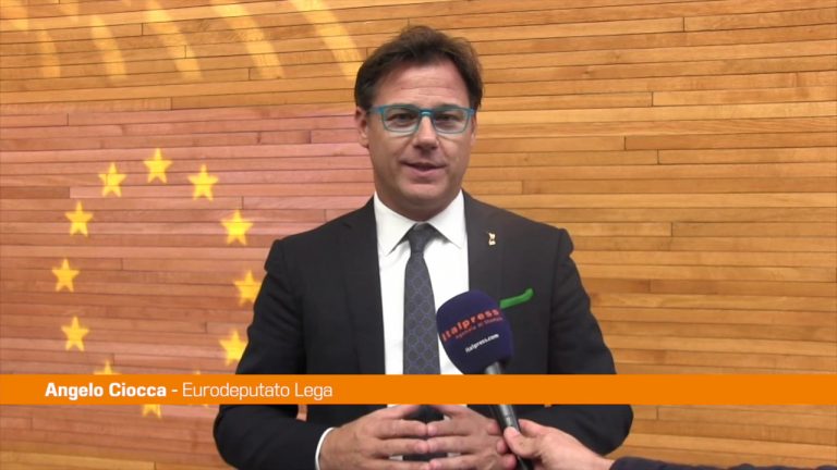 Lavoro, Ciocca “L’Europa si concentri sulle vere emergenze”