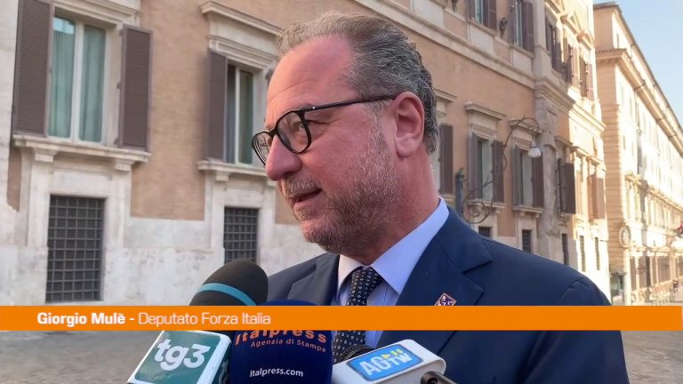 Governo, Mulè “Forza Italia solleva tema politico, non di poltrone”