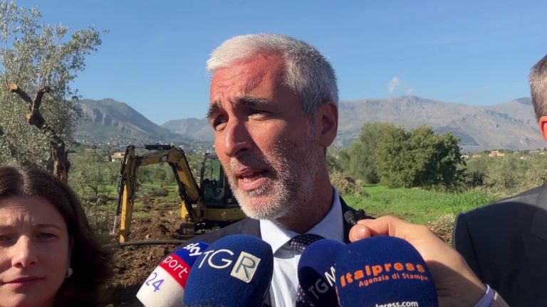 Mirri “A marzo il Palermo nel nuovo centro sportivo di Torretta”