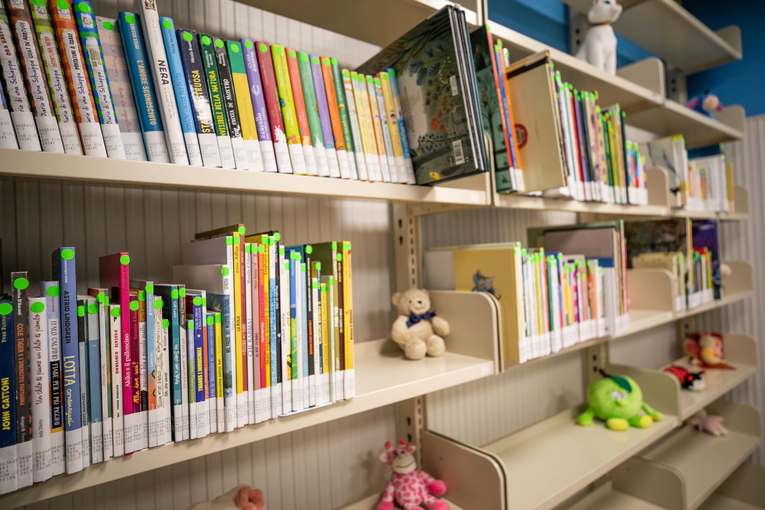 Oltre 600 nuovi libri in arrivo alla Biblioteca comunale di Campobello