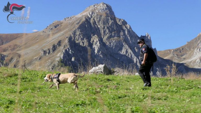Cuneo, carabinieri forestali a caccia di “bocconi avvelenati”